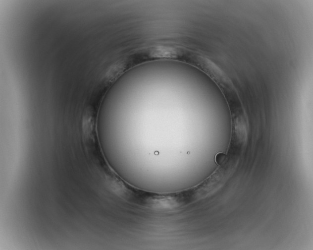 X0000116330322200912011137