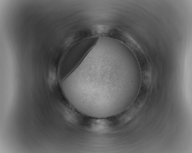 X0000116330324200912011137