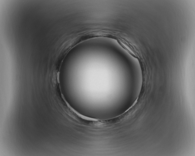 X0000116330325200912011137