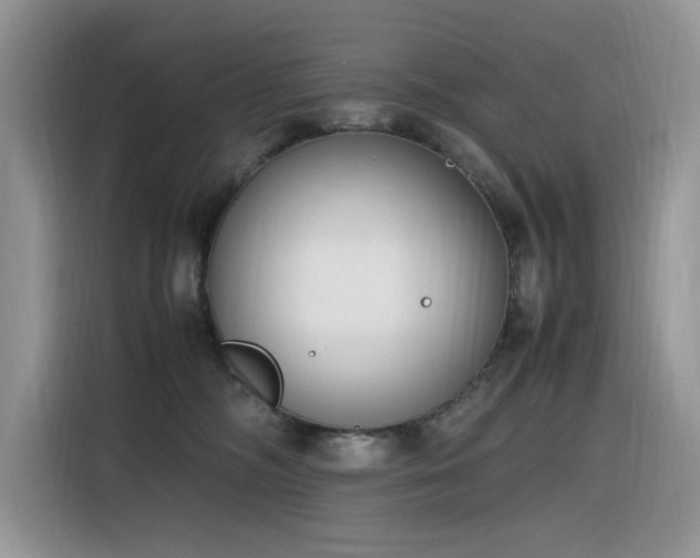 X0000116330326200912011137