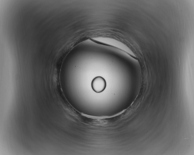 X0000116330328200912011137