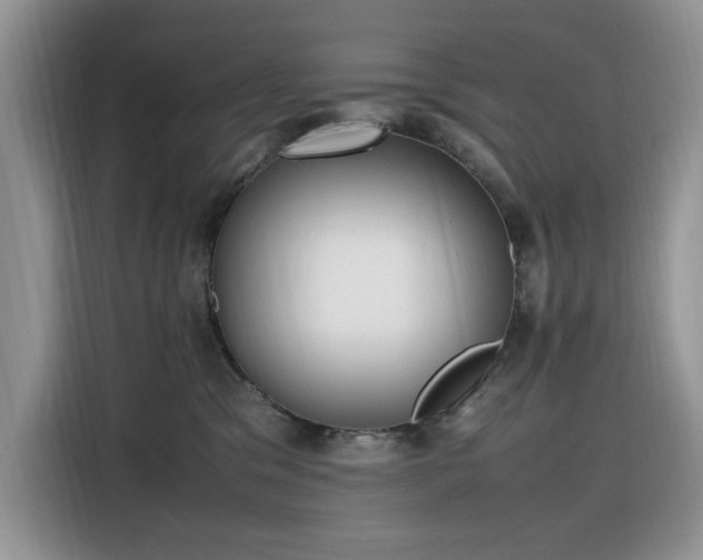X0000116330329200912011137