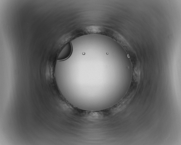 X0000116330330200912011137