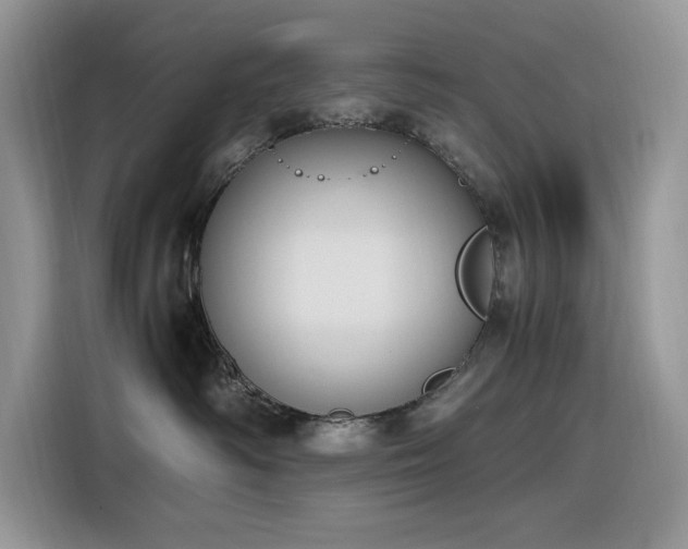 X0000116330334200912011137