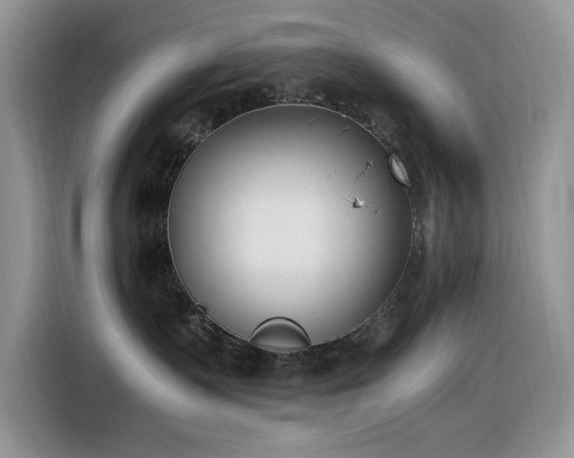 X0000116330335200912011137