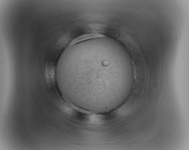 X0000116330336200912011137
