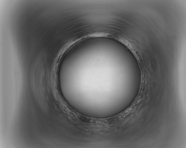 X0000116330337200912011137