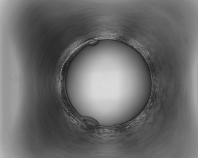 X0000116330338200912011137