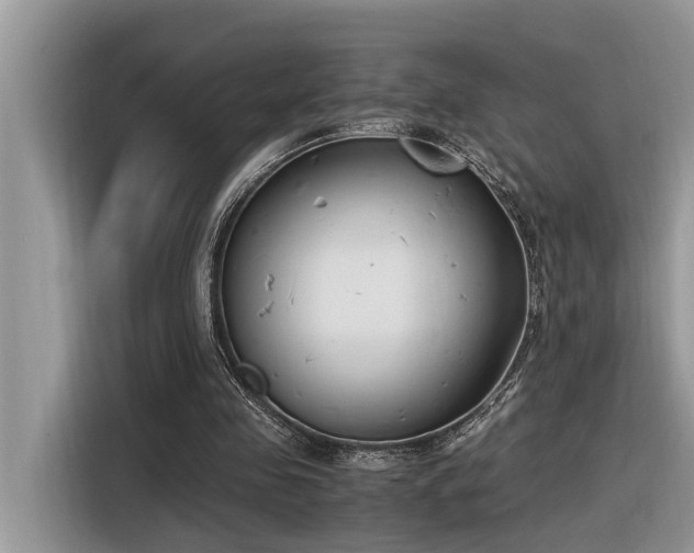X0000116330341200912011137