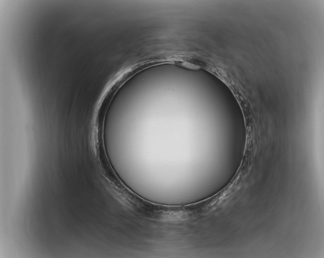 X0000116330342200912011137