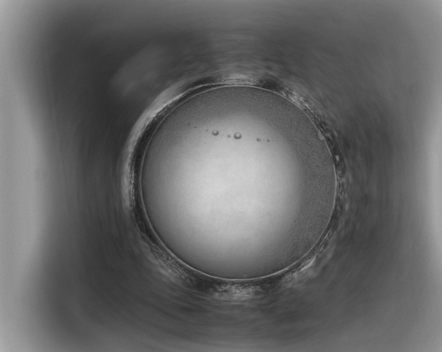 X0000116330343200912011137