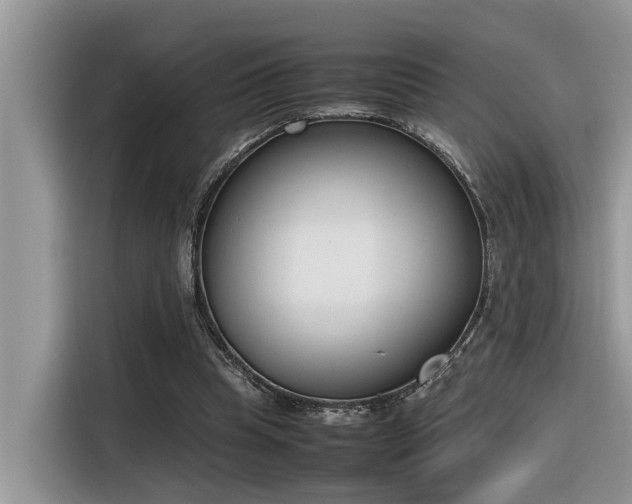 X0000116330345200912011137