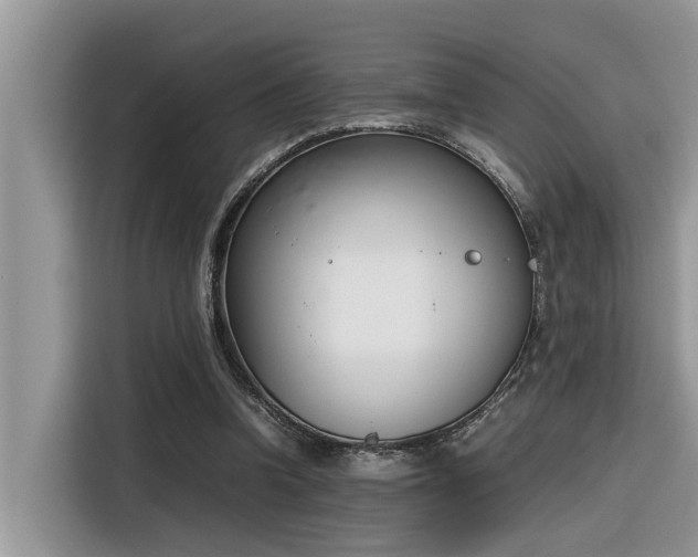 X0000116330346200912011137