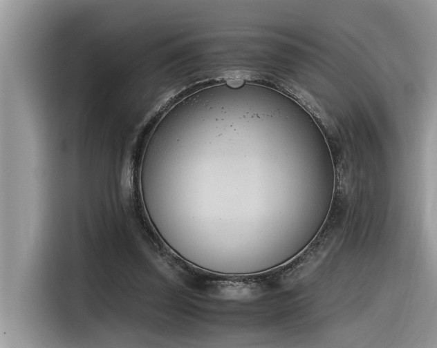 X0000116330347200912011137