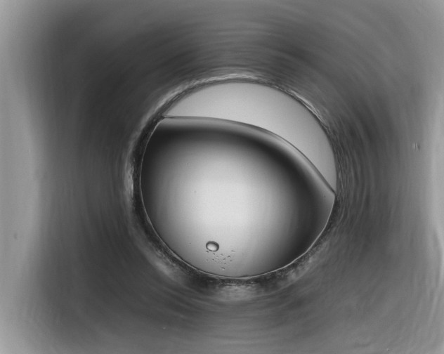 X0000116330350200912011137