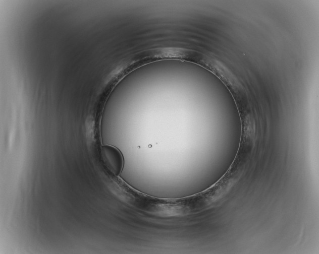 X0000116330351200912011137