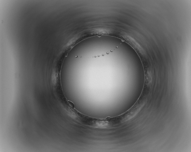 X0000116330355200912011137