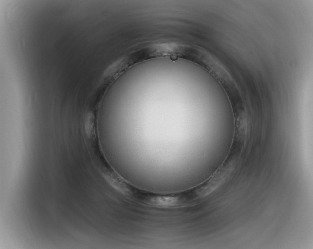 X0000116330361200912011137