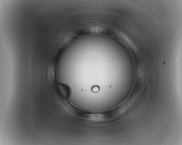 X0000116330363200912011137