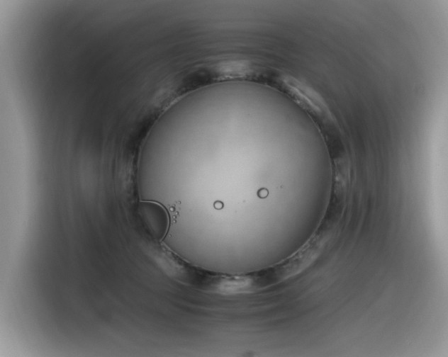 X0000116330369200912011137