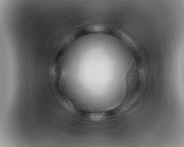 X0000116330373200912011137