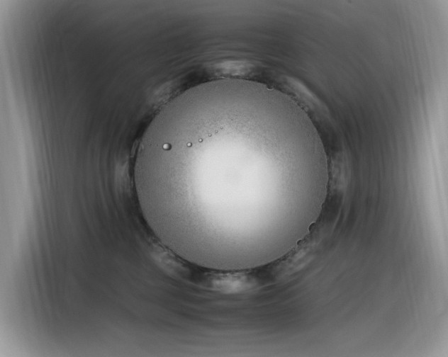 X0000116330377200912011137