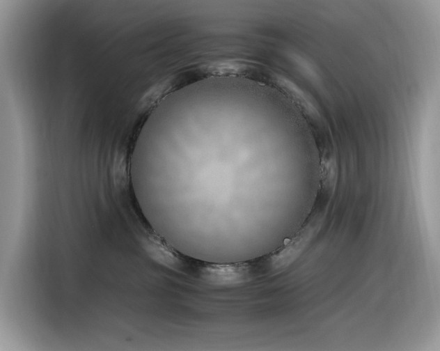 X0000116330381200912011137