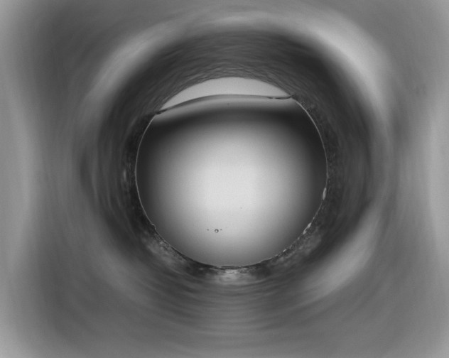 X0000116330382200912011137