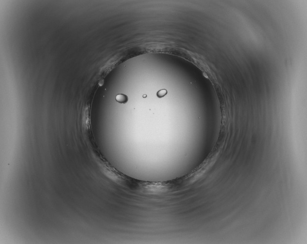 X0000116330383200912011137
