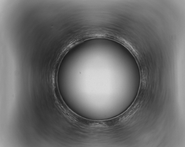 X0000116330386200912011137