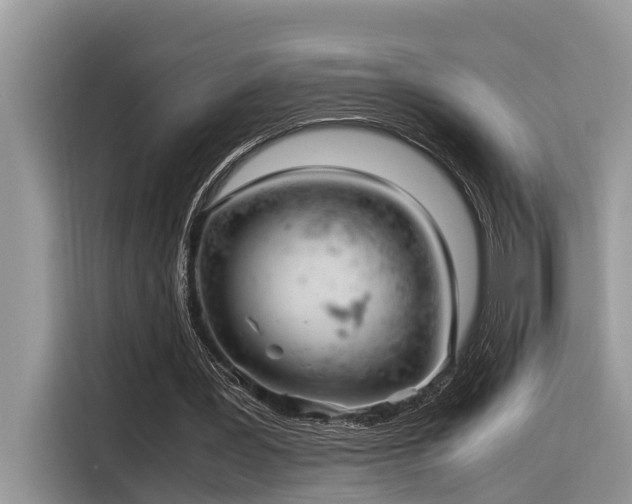 X0000116330387200912011137