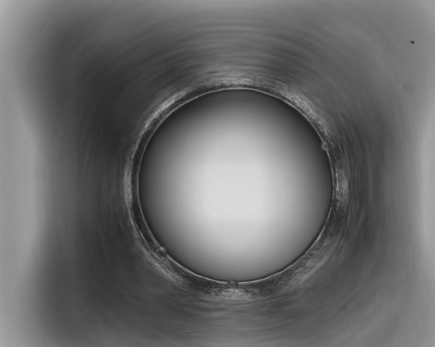 X0000116330390200912011137