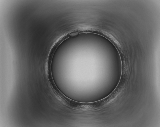 X0000116330391200912011137