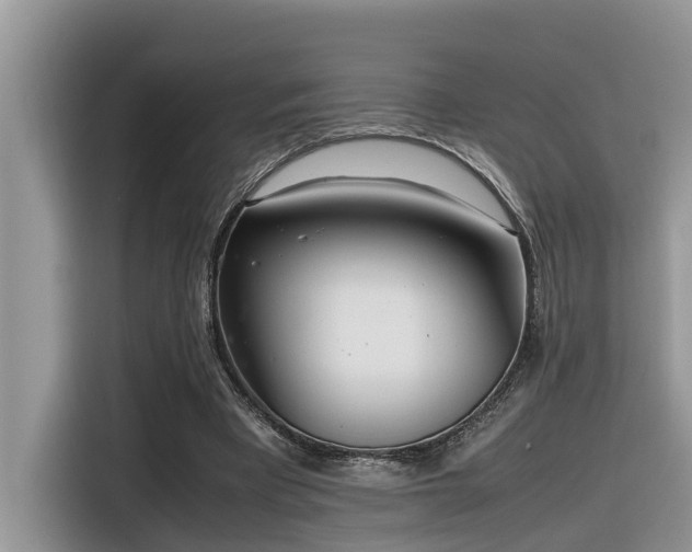 X0000116330393200912011137