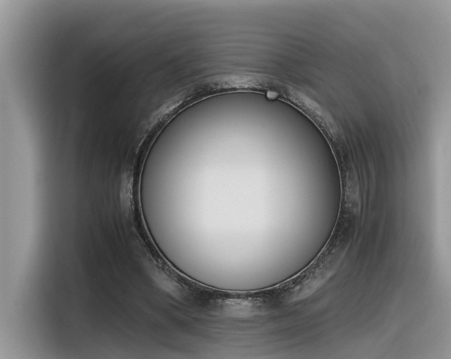 X0000116330394200912011137