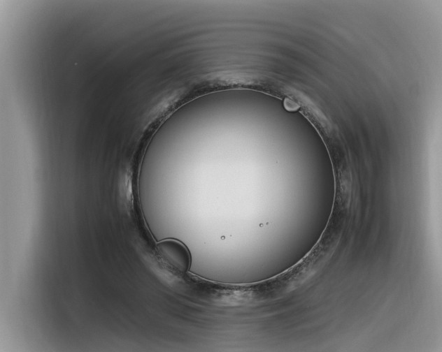 X0000116330398200912011136