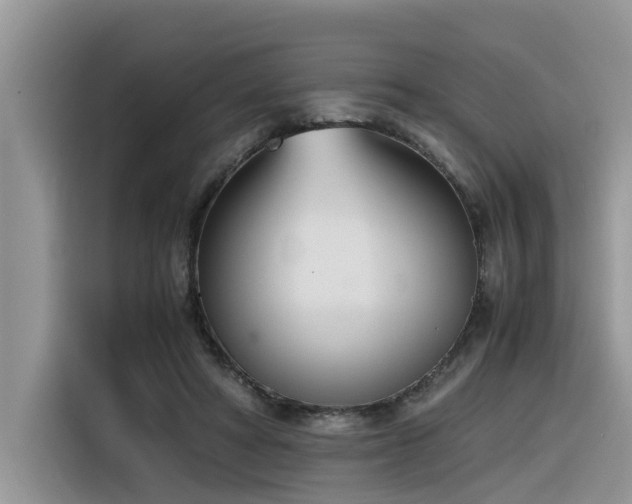 X0000116330402200912011136