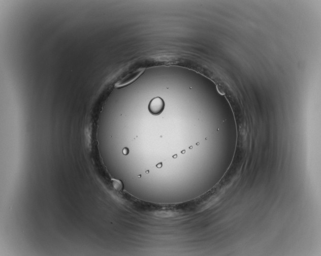 X0000116330404200912011136