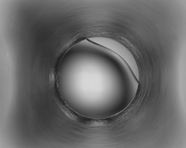 X0000116330405200912011136