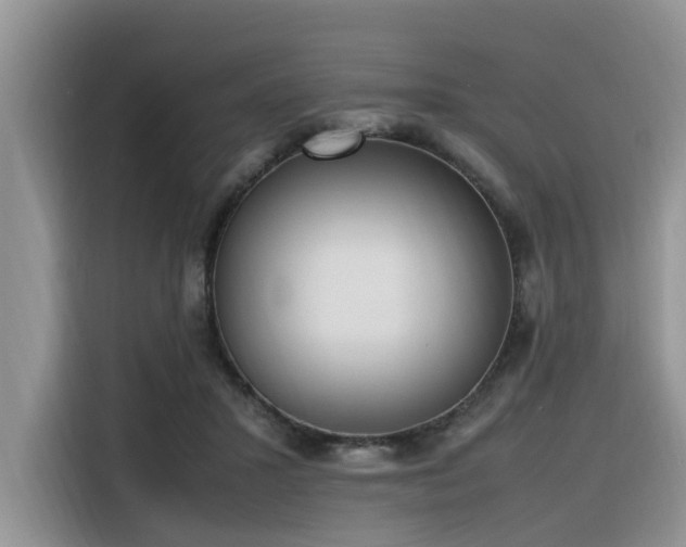 X0000116330407200912011136