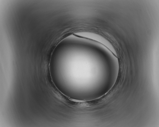 X0000116330409200912011136