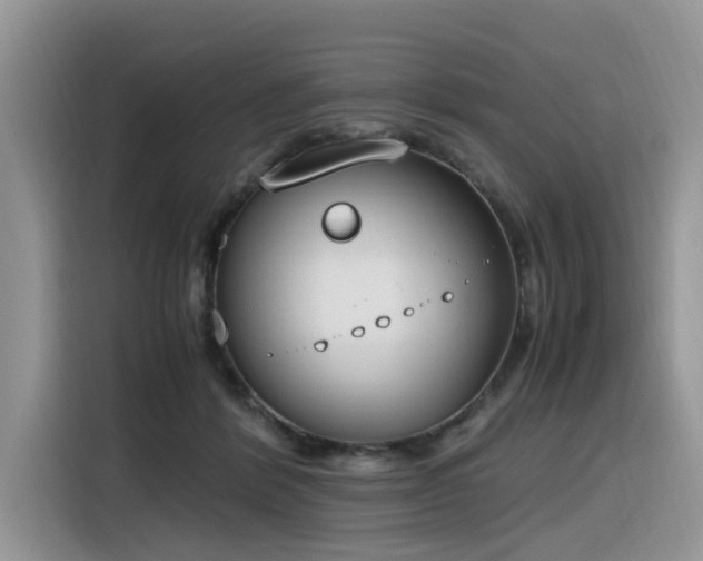 X0000116330412200912011136