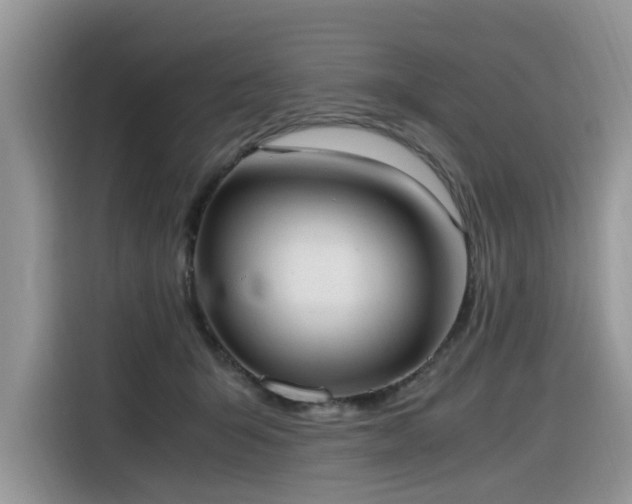 X0000116330415200912011136