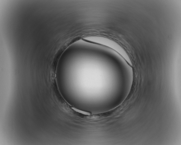 X0000116330419200912011136