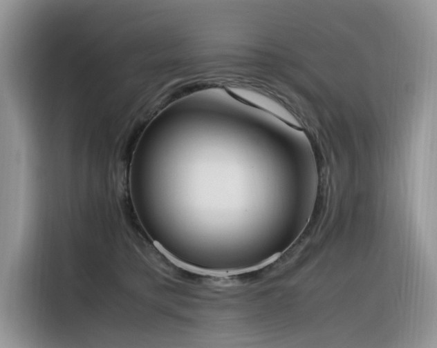 X0000116330421200912011136
