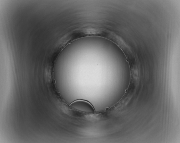 X0000116330422200912011136