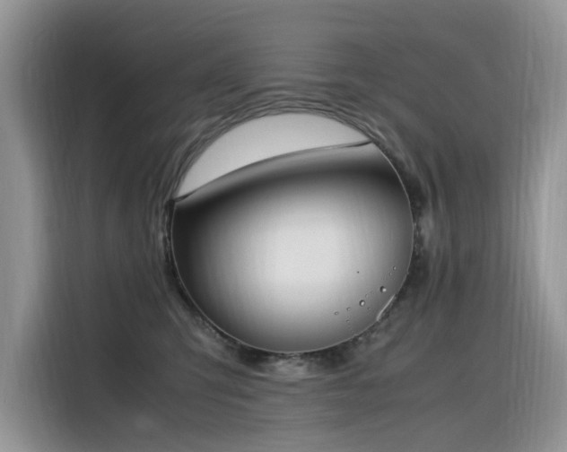 X0000116330423200912011136