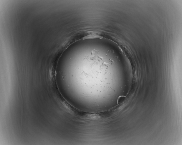 X0000116330424200912011136