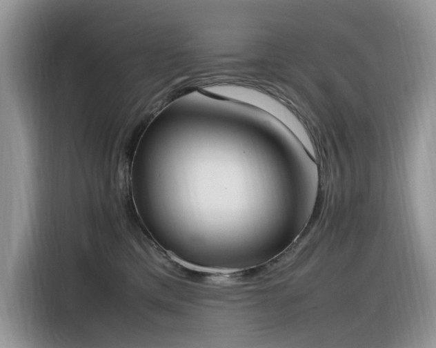 X0000116330425200912011136