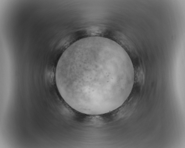 X0000116330427200912011136